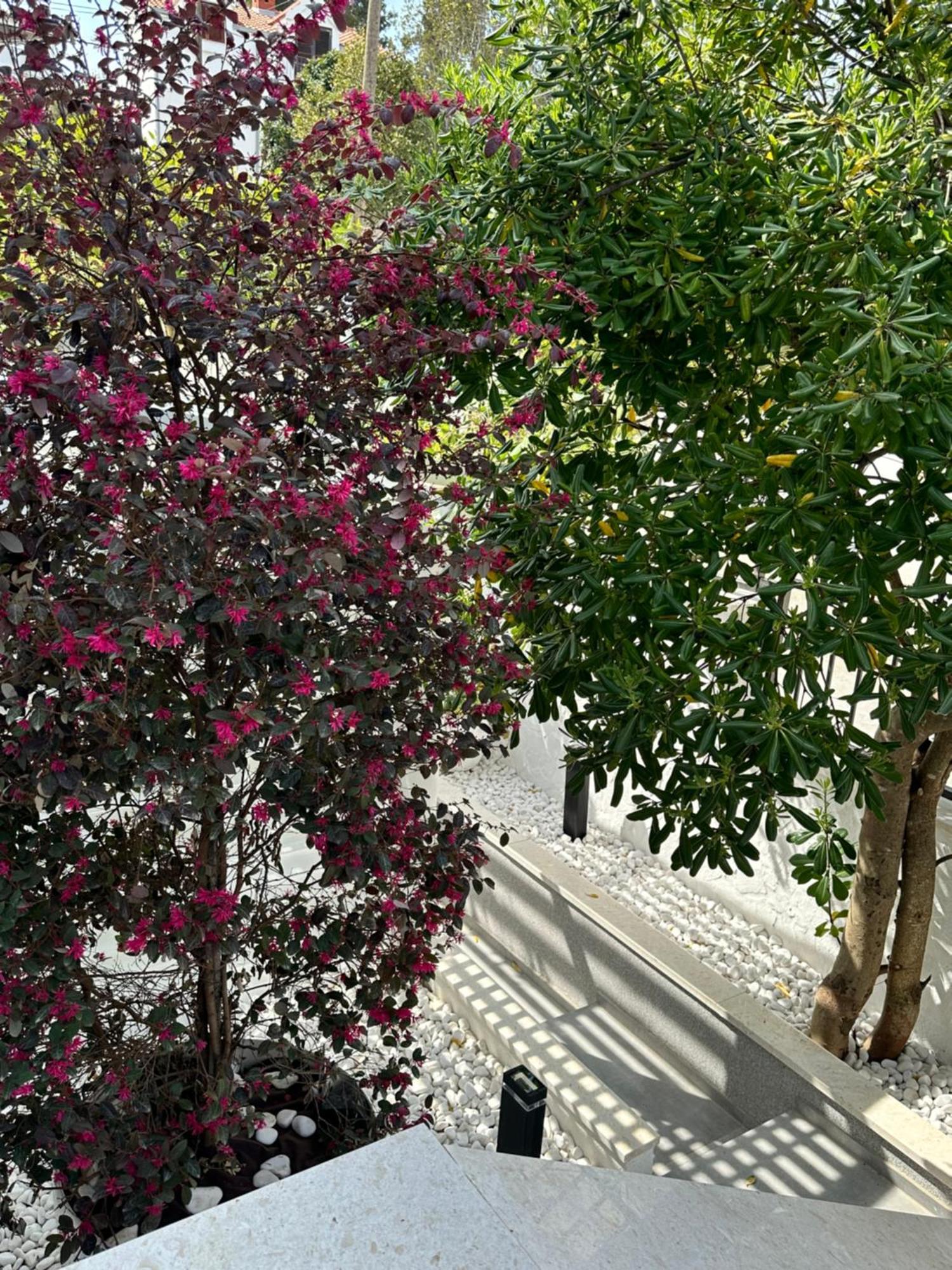 Apartments Marina Trogir Exterior photo
