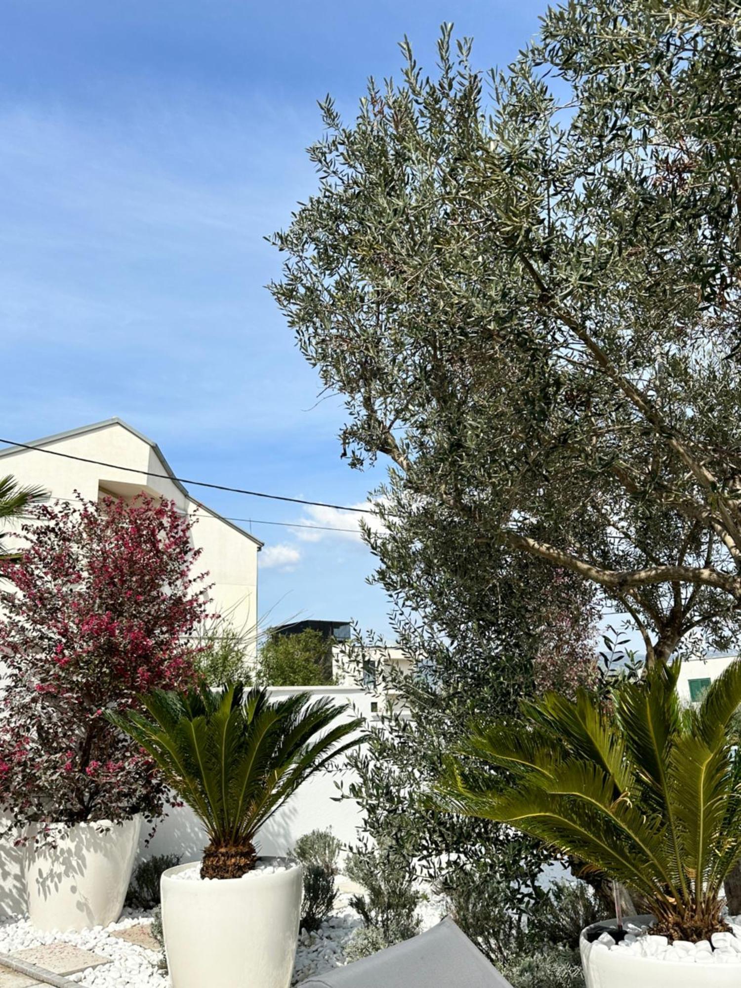 Apartments Marina Trogir Exterior photo